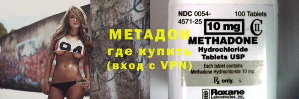прущие грибы Медвежьегорск