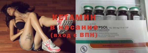 прущие грибы Медвежьегорск