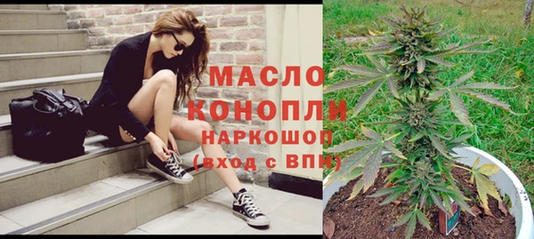 прущие грибы Медвежьегорск