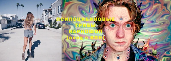 прущие грибы Медвежьегорск