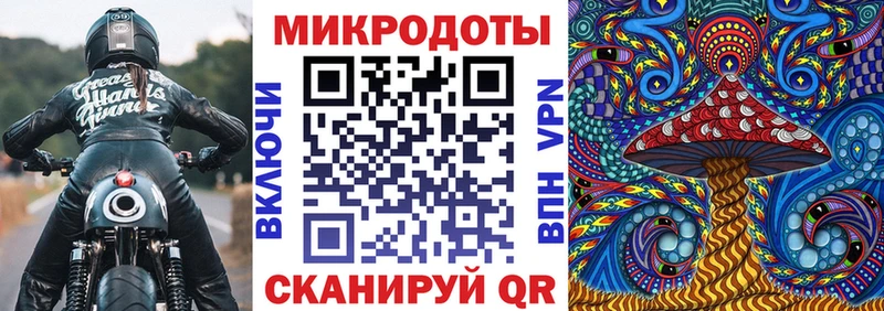 Галлюциногенные грибы Psilocybine cubensis Свободный